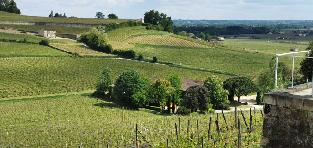 Chateau Moulin Saint Georges am Fuß des Plateaus von Château Ausone